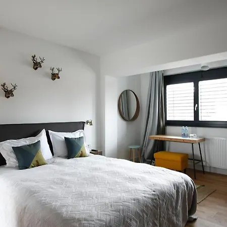 The Pines Boutique Villa Brasov