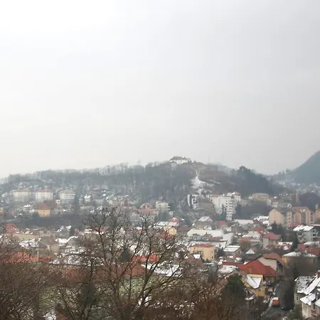 The Pines Boutique Villa Brasov