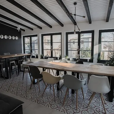 The Pines Boutique Vilă *