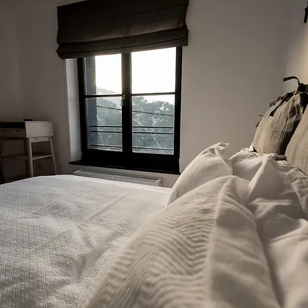 The Pines Boutique Villa Brasov