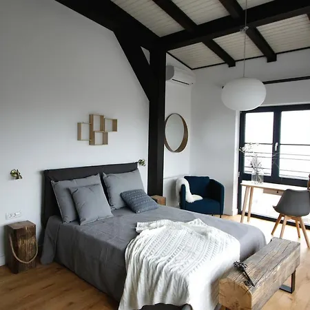 Villa The Pines Boutique Brasov