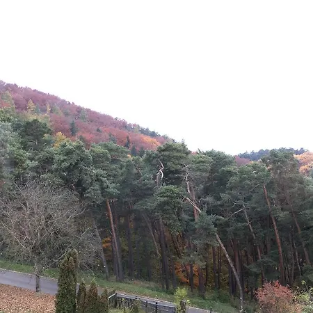 The Pines Boutique *