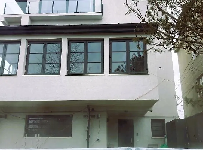 Villa The Pines Boutique Brasov