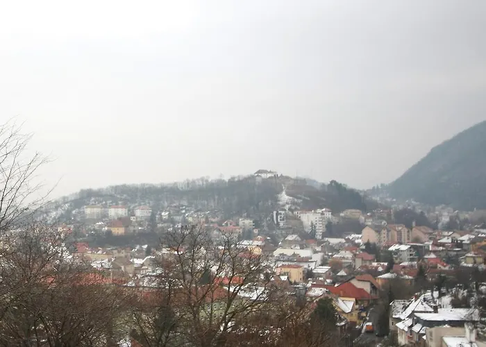 The Pines Boutique Villa Brasov