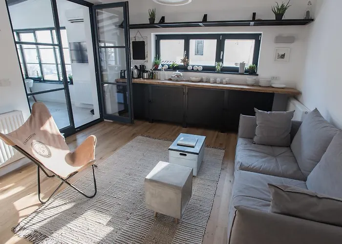 Villa The Pines Boutique Brasov