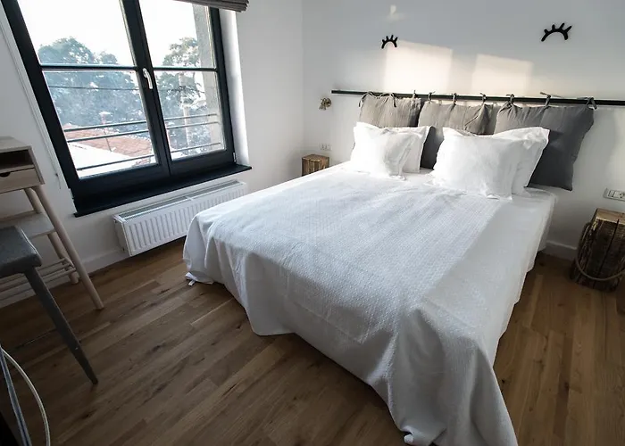 The Pines Boutique Brasov