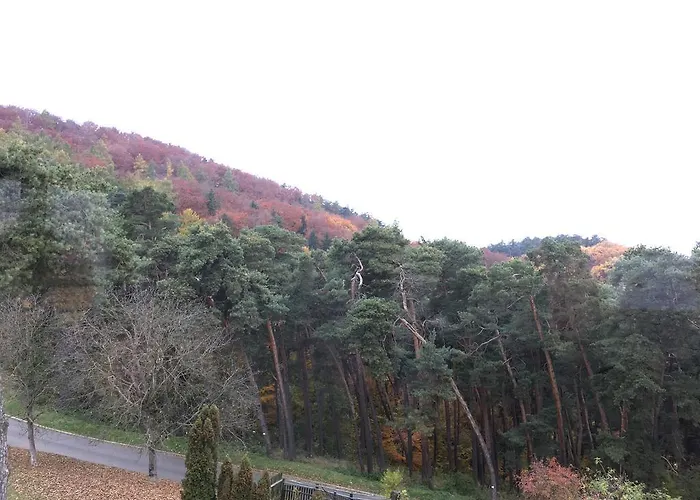 The Pines Boutique *